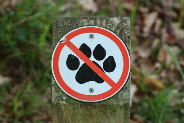 Graphic sign with a red line though a paw meaning that dogs are not allowed past this point