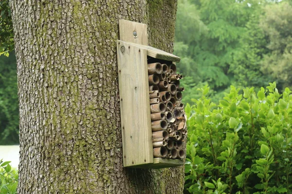 A insect hotel made from old wood and cut bamboo hanging from a tree in the woods. Many varieties of insects are attracted to it.