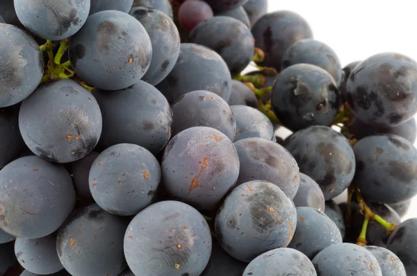 Grano de uva —  Fotos de Stock