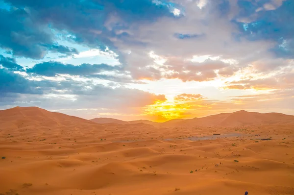 Sunset in the desert — Stock Photo, Image