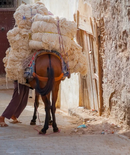 Work horse — Stock Photo, Image