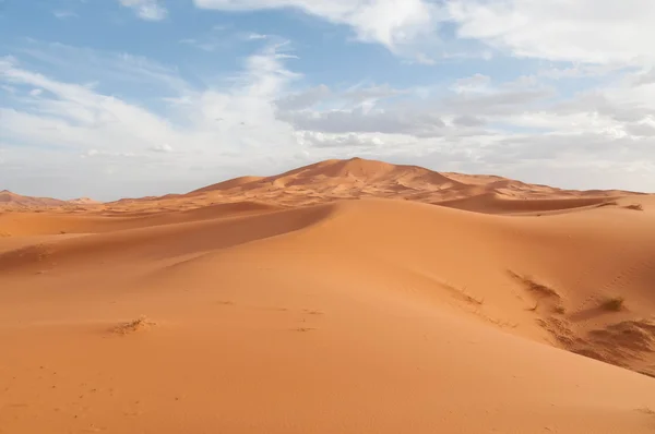 Fas sahara