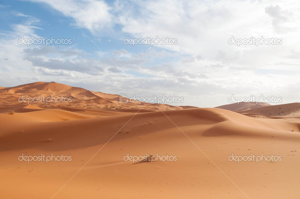 Moroccan sahara