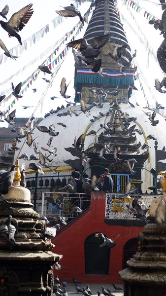 Kathmandu tempel scènes — Stockfoto