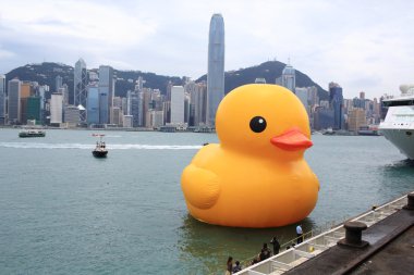 Hong kong - 2 Mayıs: ördek yakın florentijn hofman tarafından 2 Mayıs 2013.giant 'lastik ördek' heykel ile manzarası hong Kong, hong kong için gelmek ve hong kong insanlar dikkat çekmek