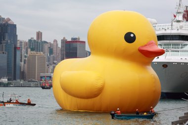 Hong kong - 2 Mayıs: ördek yakın florentijn hofman tarafından 2 Mayıs 2013.giant 'lastik ördek' heykel ile manzarası hong Kong, hong kong için gelmek ve hong kong insanlar dikkat çekmek