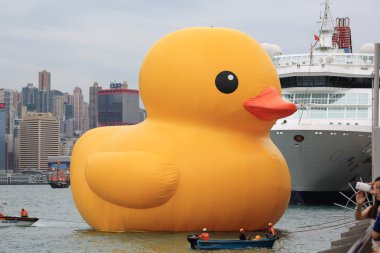 Hong kong - 2 Mayıs: ördek yakın florentijn hofman tarafından 2 Mayıs 2013.giant 'lastik ördek' heykel ile manzarası hong Kong, hong kong için gelmek ve hong kong insanlar dikkat çekmek