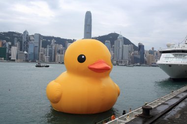 Hong kong - 2 Mayıs: ördek yakın florentijn hofman tarafından 2 Mayıs 2013.giant 'lastik ördek' heykel ile manzarası hong Kong, hong kong için gelmek ve hong kong insanlar dikkat çekmek