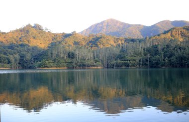 Eski orman Çin hong kong sel, sunset