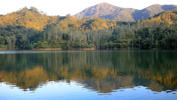 Pôr do sol em inundar floresta velha china hong kong — Fotografia de Stock