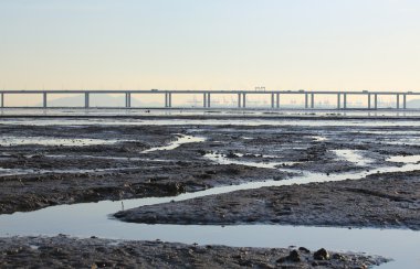 Şehir silueti manzarası ile gelgit sahil