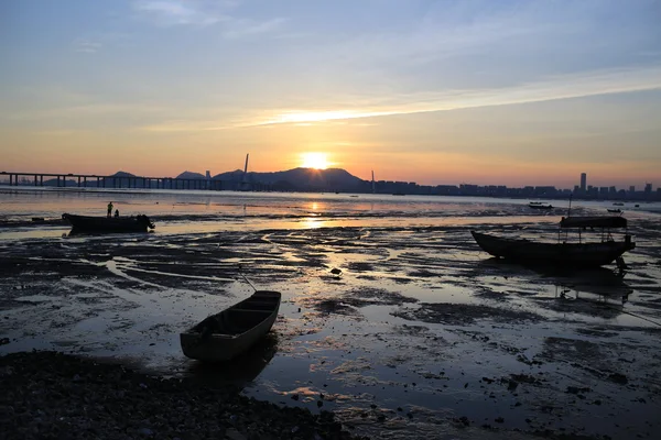 ハ ナイ朴セリは湿地、深セン湾で津波の夕日橋、香港でオイスター フィールド シーン — ストック写真