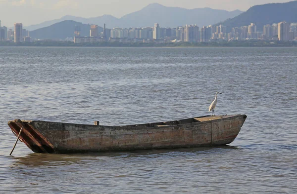Sea View Shenzhen Skyline Boat Mud Beach Hong Kong View — Stock Photo, Image