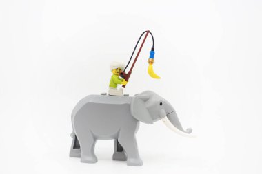 Hong Kong, 2 Şubat 2022: Hindistan 'da fil üzerinde havuç ve sopa