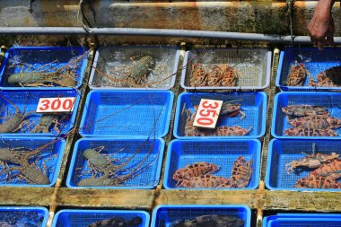 Teknede deniz ürünleri satmak Sai Kung, Hong Kong 'da yüzen pazar olarak