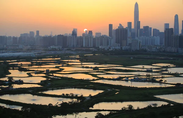 Shenzhen Ufuk Çizgisi Hong Kong Tso Lung Sınırından Görünüyor — Stok fotoğraf