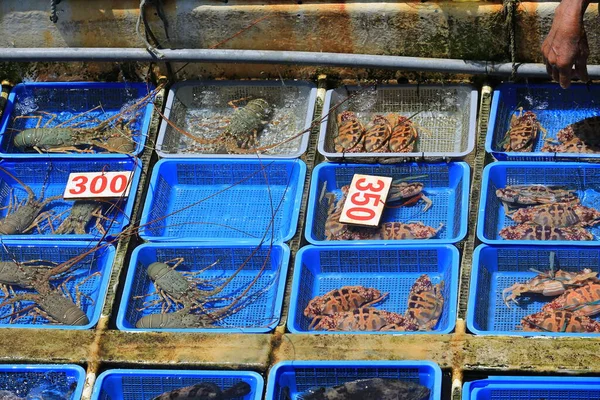 Teknede deniz ürünleri satmak Sai Kung, Hong Kong 'da yüzen pazar olarak