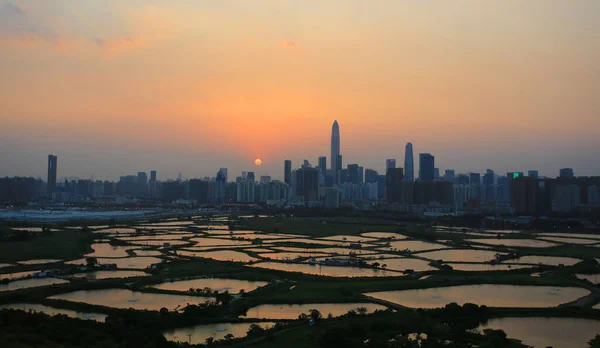 Skyline Shenzhen Con Grattacieli Ufficio Contro Allevamento Pesci Stagni Durante — Foto Stock