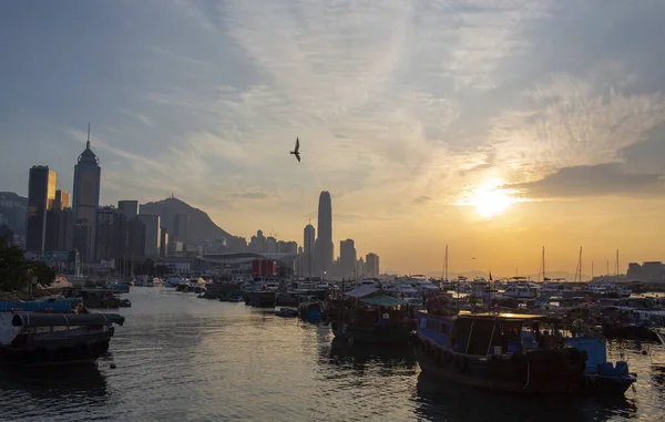 Bateaux Poubelles Avec Rétroéclairage Des Gratte Ciel Île Hong Kong — Photo