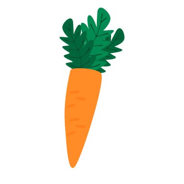 Çizgi film tarzında beyaz arkaplanda izole edilmiş havuç