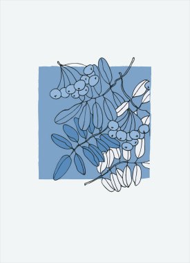 Ev dekorasyonu basılabilir çizgi sanatı. Mavi arka planda el çizimi rowan ağacı dalları ve böğürtlen örnekleri. İzler, posterler, kartlar, tekstil için çağdaş tasarım