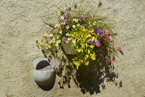 Wall and flowers — Stock Photo, Image