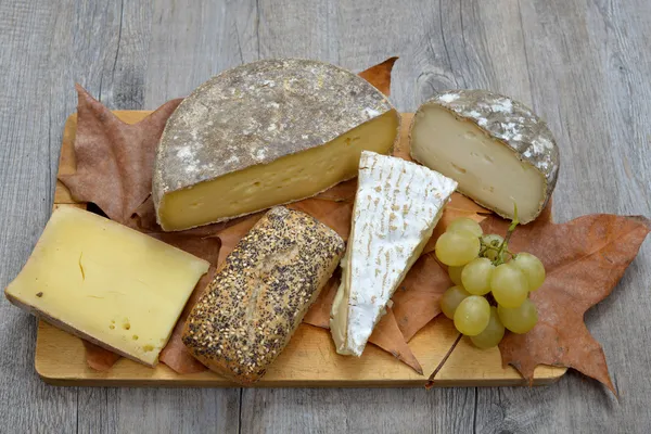 French cheese platter — Stock Photo, Image