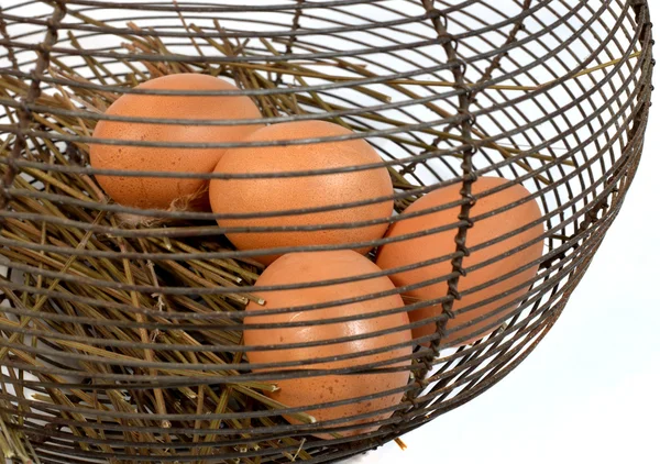 Fyra ägg i en korg i metall — Stockfoto