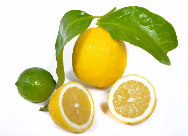 석 회와 레몬 — 스톡 사진