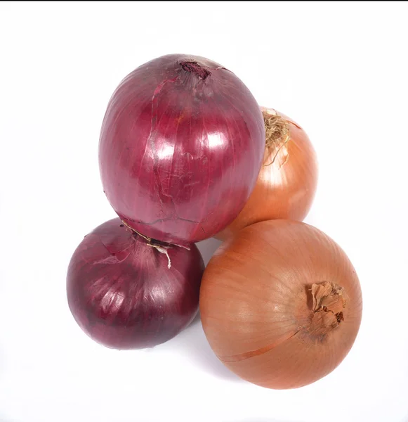 Zwei Zwiebelsorten — Stockfoto