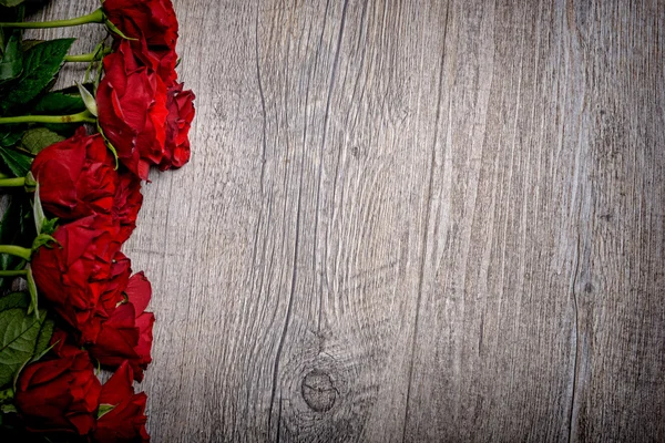 Red roses — Stock Photo, Image