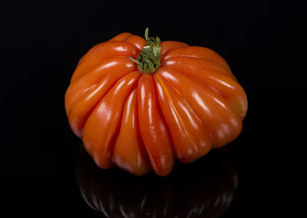 Ogromny pomidor — Zdjęcie stockowe