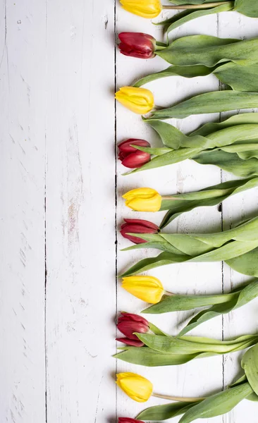 Tulpen op witte houten planken eves — Stockfoto