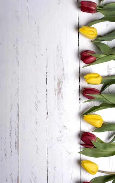 Tulipány na bílých dřevěných prken Evy — Stock fotografie