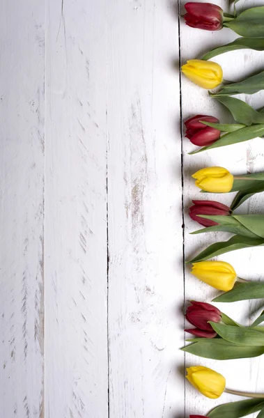 Tulipas em tábuas de madeira branca eves — Fotografia de Stock