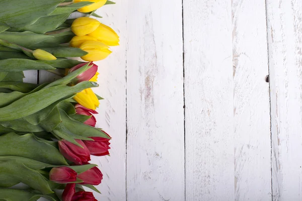 Tulipány na bílých dřevěných prken Evy — Stock fotografie
