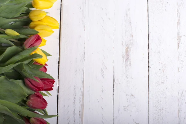 Tulips on white wooden planks eves — Stock Photo, Image