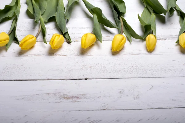 Tulipas em tábuas de madeira branca eves — Fotografia de Stock