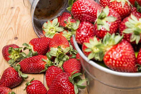 Erdbeeren in einem kleinen metallischen Eimer — Stockfoto