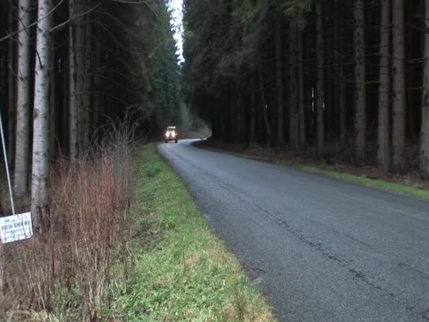 Грузовик Ww2 в лесу Арденны — стоковое видео