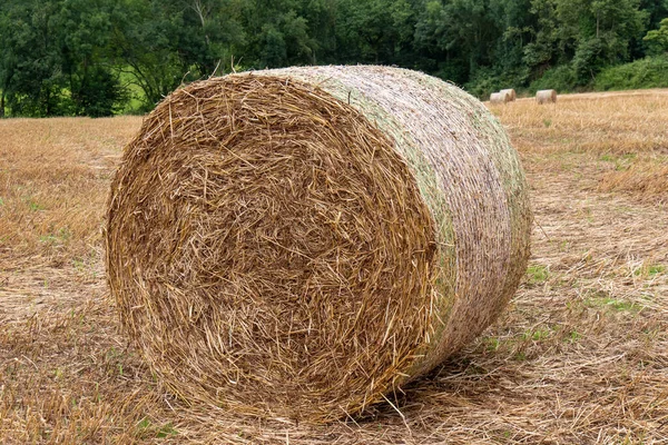 Campo Cosechado Con Fardos Paja — Foto de Stock