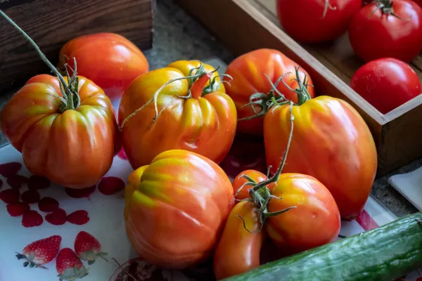 Close Beef Heart Tomatoes — Stock Photo, Image