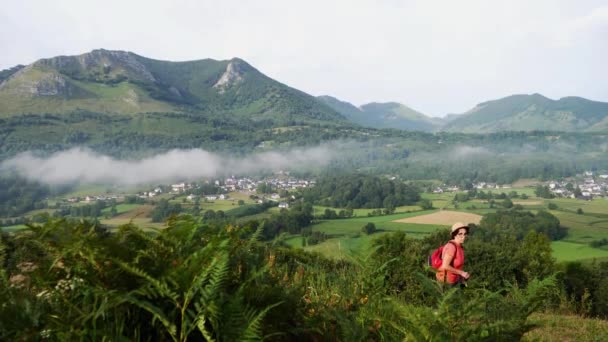 山の風景 ピレネー山脈 ルルド フランス — ストック動画