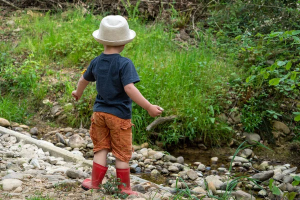 Jeune Enfant Dans Nature Vue Dos — Photo