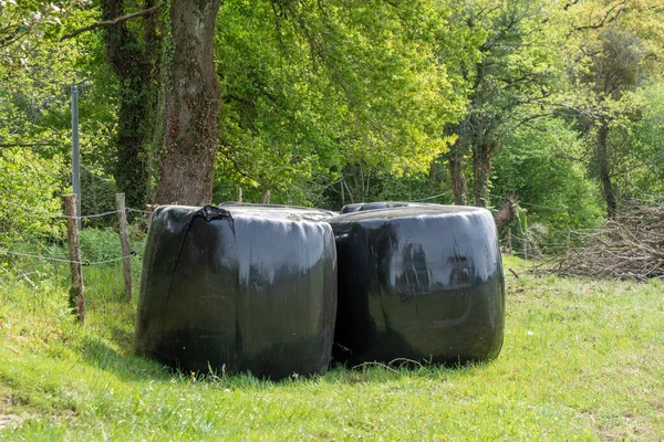 Skördade Fält Med Halmbalar — Stockfoto