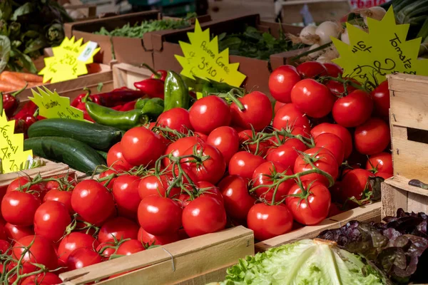 Deliziosi Pomodori Biologici Sul Mercato Francese — Foto Stock