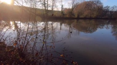 Gölet manzarası, sonbahar zamanı.