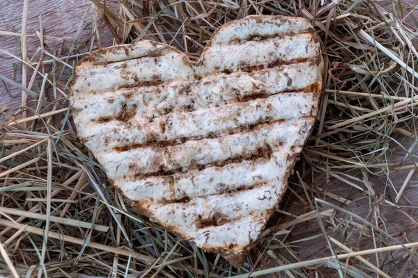 Traditioneller Käse Aus Neufchatel Ein Milchprodukt Frankreich — Stockfoto