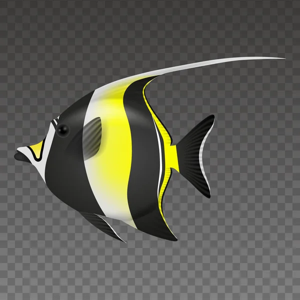 Isolato Idolo Moresco Pesce Illustrazione — Vettoriale Stock