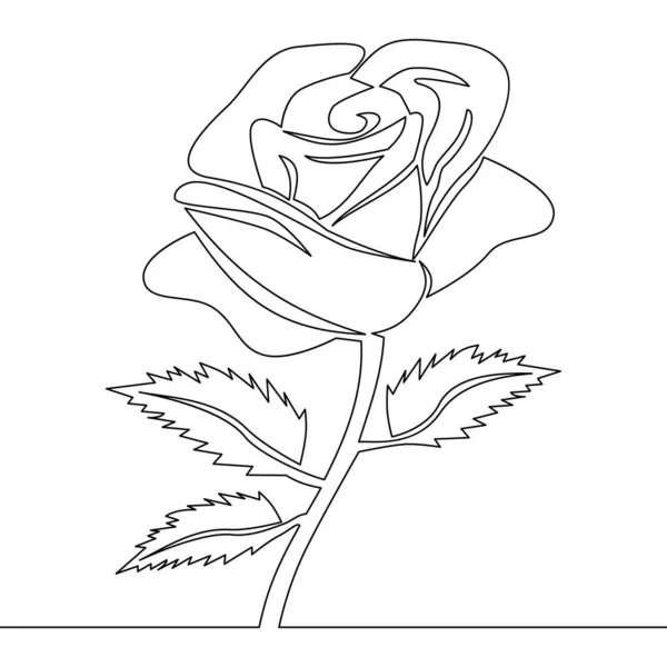 Continuo Dibujo Una Sola Línea Rose Flor Icono Vector Concepto — Vector de stock